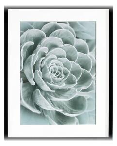 Succulents I kép 40x50cm