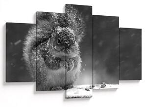 Kép - Mókus télen (150x105 cm)