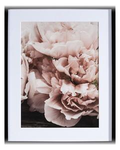 Peony Sunset I kép 40x50cm