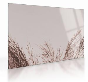Üveg kép - Szárított fű (70x50 cm)