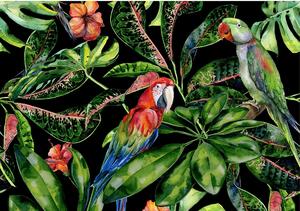 Tropical Birds vászonkép