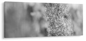 Kép - Boho pampafű (120x50 cm)