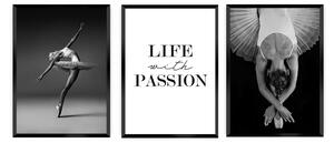 Passion kép szett 3 db