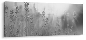 Kép - Levendula (120x50 cm)