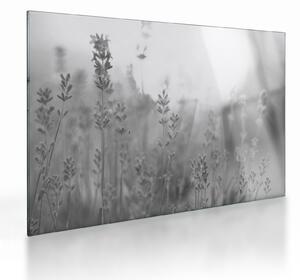 Üveg kép - Levendula (70x50 cm)