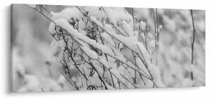 Kép - Havas ágak (120x50 cm)