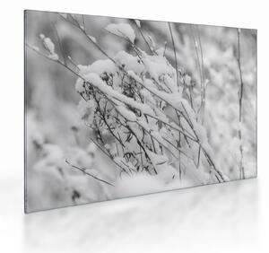 Üveg kép - Havas ágak (70x50 cm)