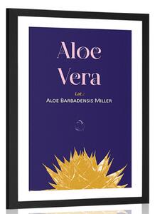 Poszter paszportuval Aloe Vera felirattal