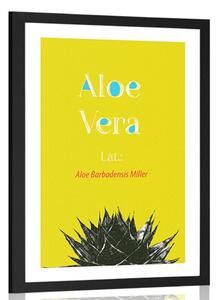 Poszter paszportuval csodás Aloe Vera