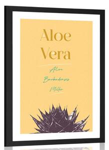 Poszter paszportuval stílusos felirattal Aloe Vera