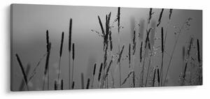 Kép - Fűszálak (120x50 cm)