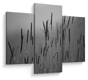 Kép - Fűszálak (90x60 cm)