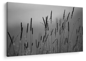 Kép - Fűszálak (90x60 cm)