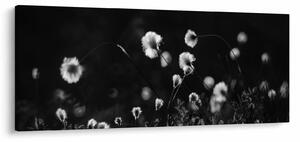 Kép - Gyapotfűvel borított rét N⁰1 (120x50 cm)