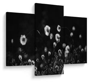 Kép - Gyapotfűvel borított rét N⁰1 (90x60 cm)