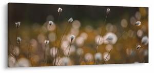 Kép - Gyapotfűvel borított rét N⁰2 (120x50 cm)