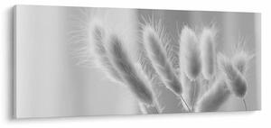 Kép - Nyuszi farok fű (120x50 cm)