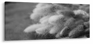 Kép - nyúlfarknyi fű az asztalon (120x50 cm)