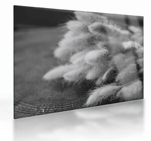 Üveg kép - nyúlfarknyi fű az asztalon (70x50 cm)