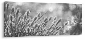 Kép - Bézs színű puha fű N⁰1 (120x50 cm)