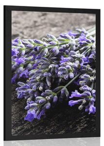 Poszter levandula csokor