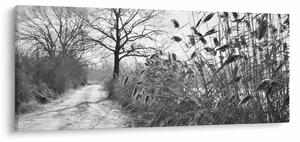 Kép - Mezők télen (120x50 cm)