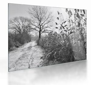 Üveg kép - Mezők télen (70x50 cm)