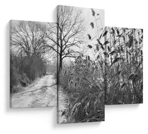 Kép - Mezők télen (90x60 cm)