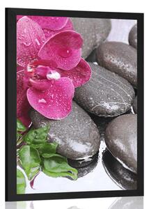 Poszter virágzó orchidea és wellness kövek