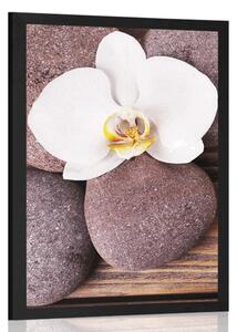 Poszter wellness orchidea fa háttéren