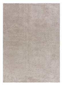 Világosszürke szőnyeg 120x170 cm Loft – Universal