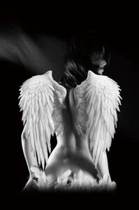 Angel Művészeti Edzett Üveg Falikép Fekete-Fehér 80x120
