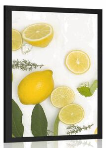 Poszter citrusfélék keveréke