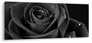 Kép - Bíborvörös rózsa (120x50 cm)