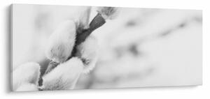 Kép - A tavasz kezdete (120x50 cm)
