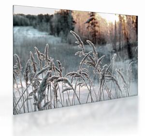 Üveg kép - Fagyott rét (70x50 cm)
