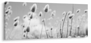 Kép - Boho nyuszi farok fű (120x50 cm)