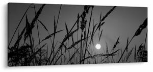 Kép - rét naplementével (120x50 cm)