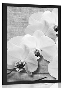 Poszter orchidea vásznon fekete fehérben