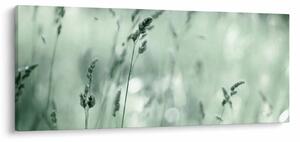 Kép - Zöld rét (120x50 cm)