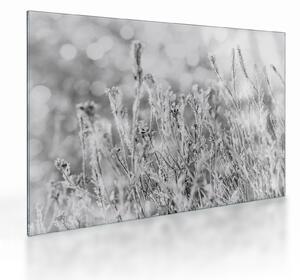 Üveg kép - Hideg tél (70x50 cm)