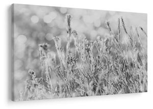 Kép - Hideg tél (90x60 cm)