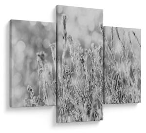 Kép - Hideg tél (90x60 cm)