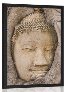 Poszter Buddha szent fügefája