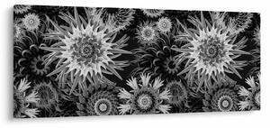 Kép - Fekete és fehér gyűszűvirág (120x50 cm)