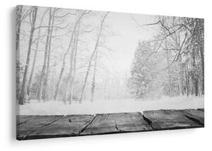 Kép - Fából készült móló télen (90x60 cm)