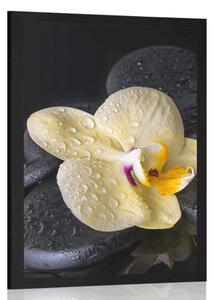 Poszter Zen kövek sárga orchideával