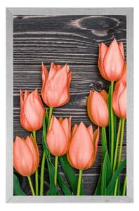 Poszter narancssárga tulipánok fa háttéren