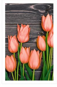Poszter narancssárga tulipánok fa háttéren