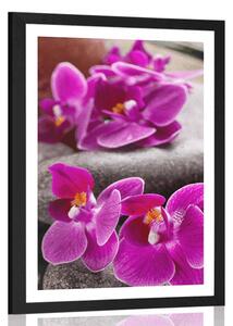 Poszter paszportuval csodás orchidea Zen kövekkel